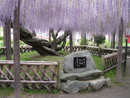 f:id:neko-room:20110503103237j:image