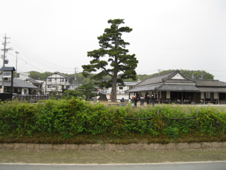 f:id:neko-room:20110503125553j:image
