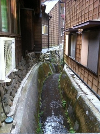f:id:neko-room:20110503180219j:image