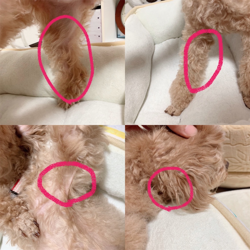 f:id:neko008:20200908224756j:image f:id:neko008:20200908224756j:image
