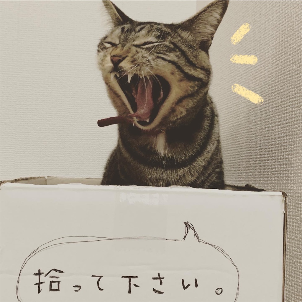 f:id:neko008:20200909084046j:image f:id:neko008:20200909084046j:image