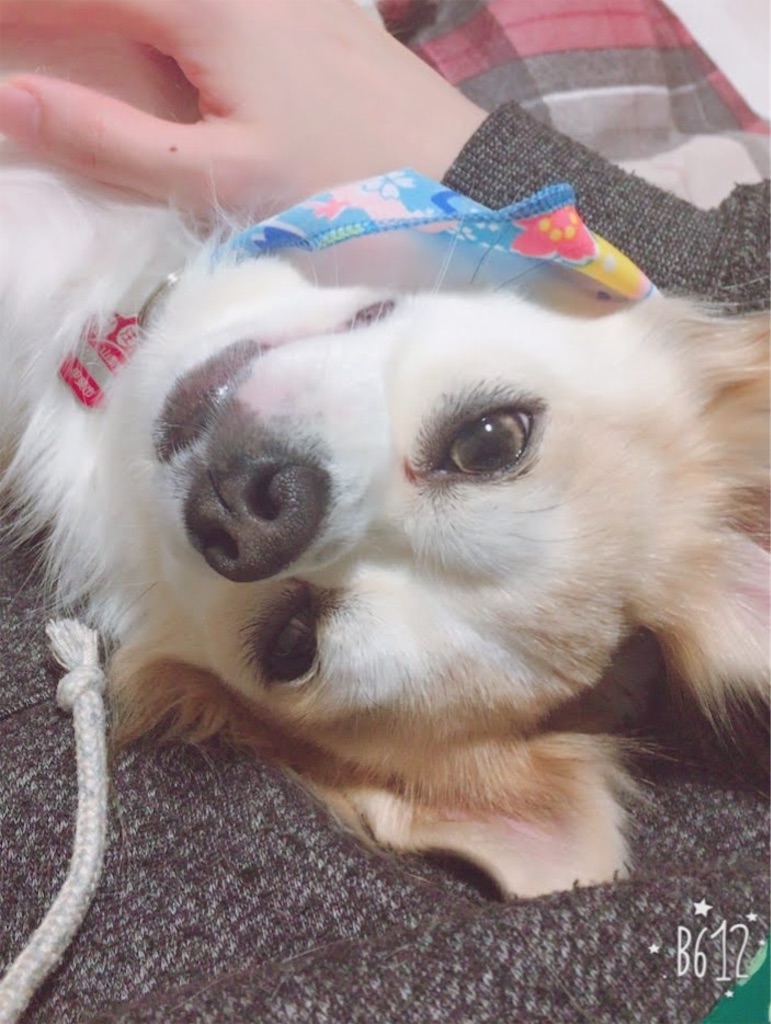 f:id:neko008:20200909225425j:image f:id:neko008:20200909225425j:image