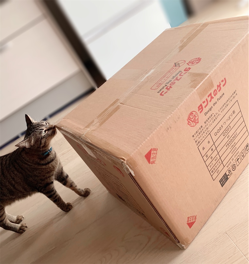 f:id:neko008:20200911125040j:image f:id:neko008:20200911125040j:image