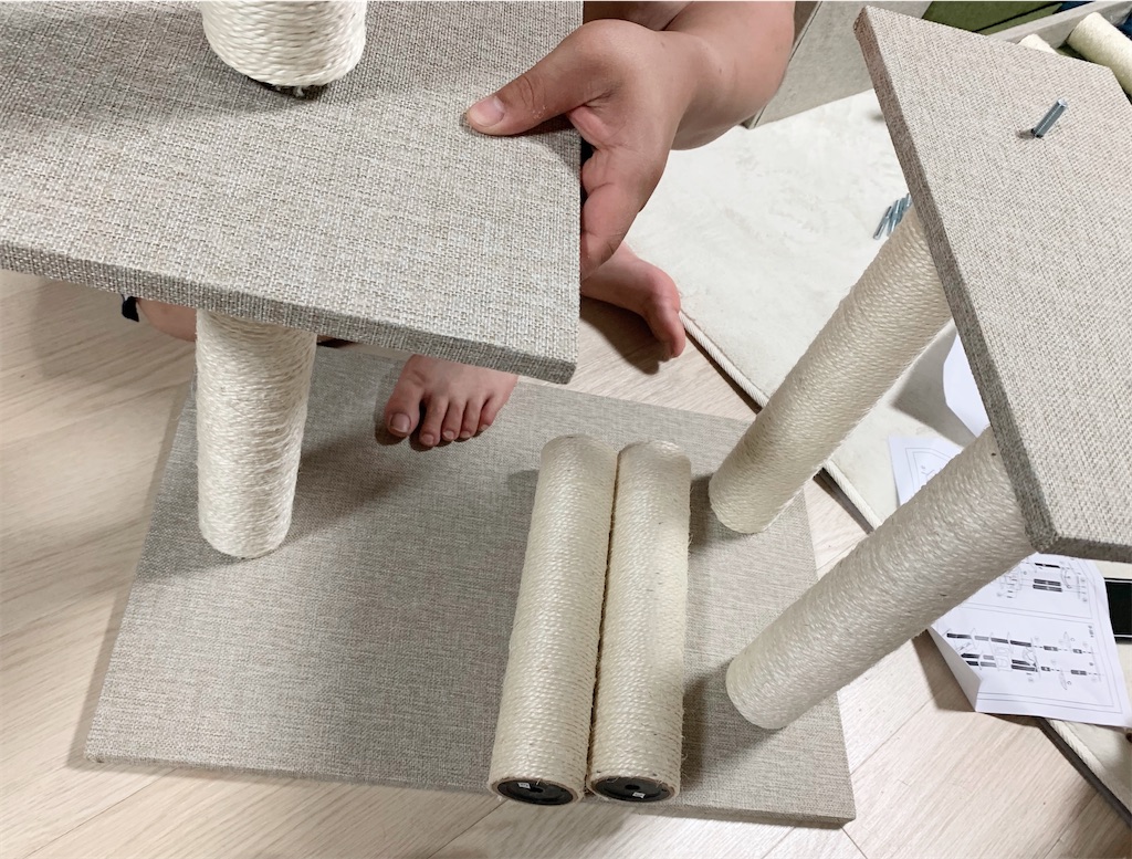 f:id:neko008:20200911214616j:image f:id:neko008:20200911214616j:image