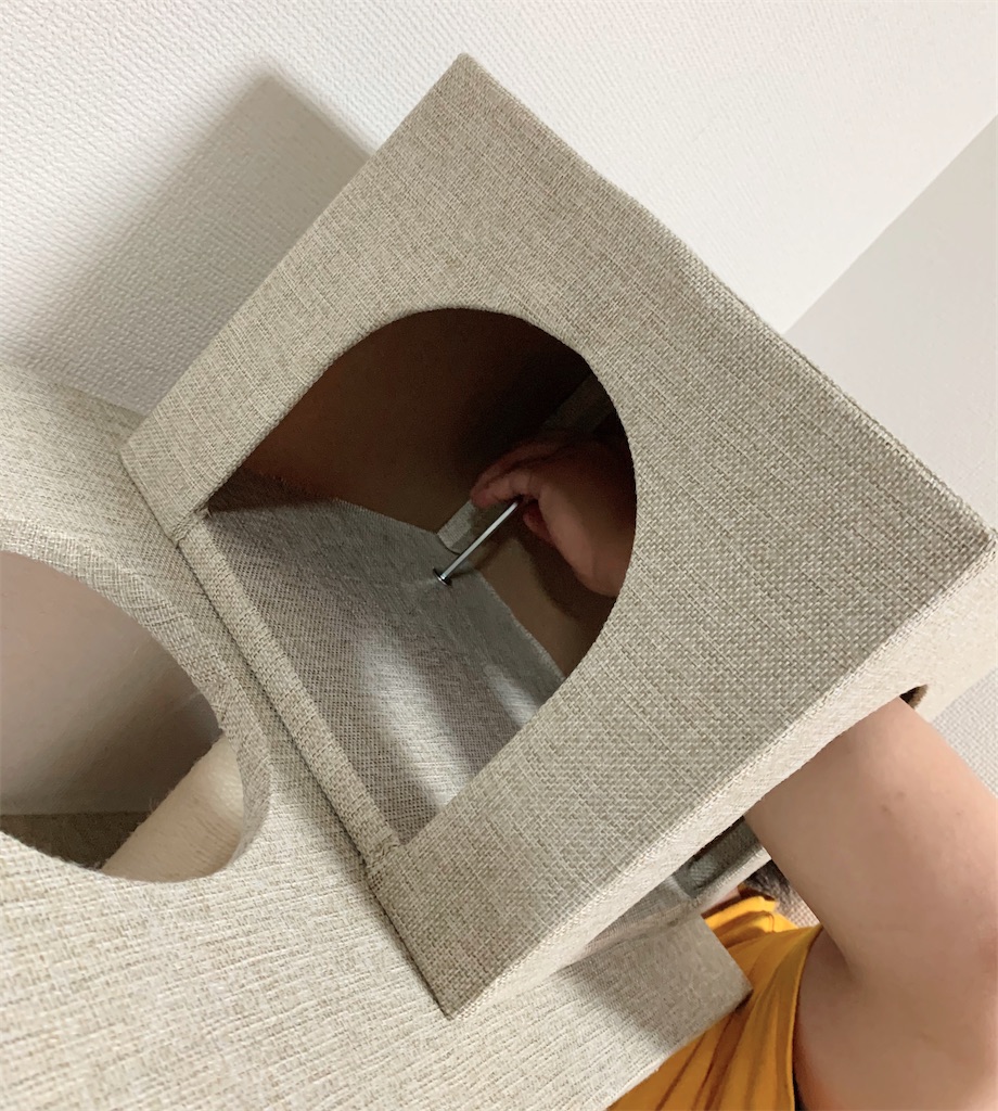 f:id:neko008:20200911215125j:image f:id:neko008:20200911215125j:image