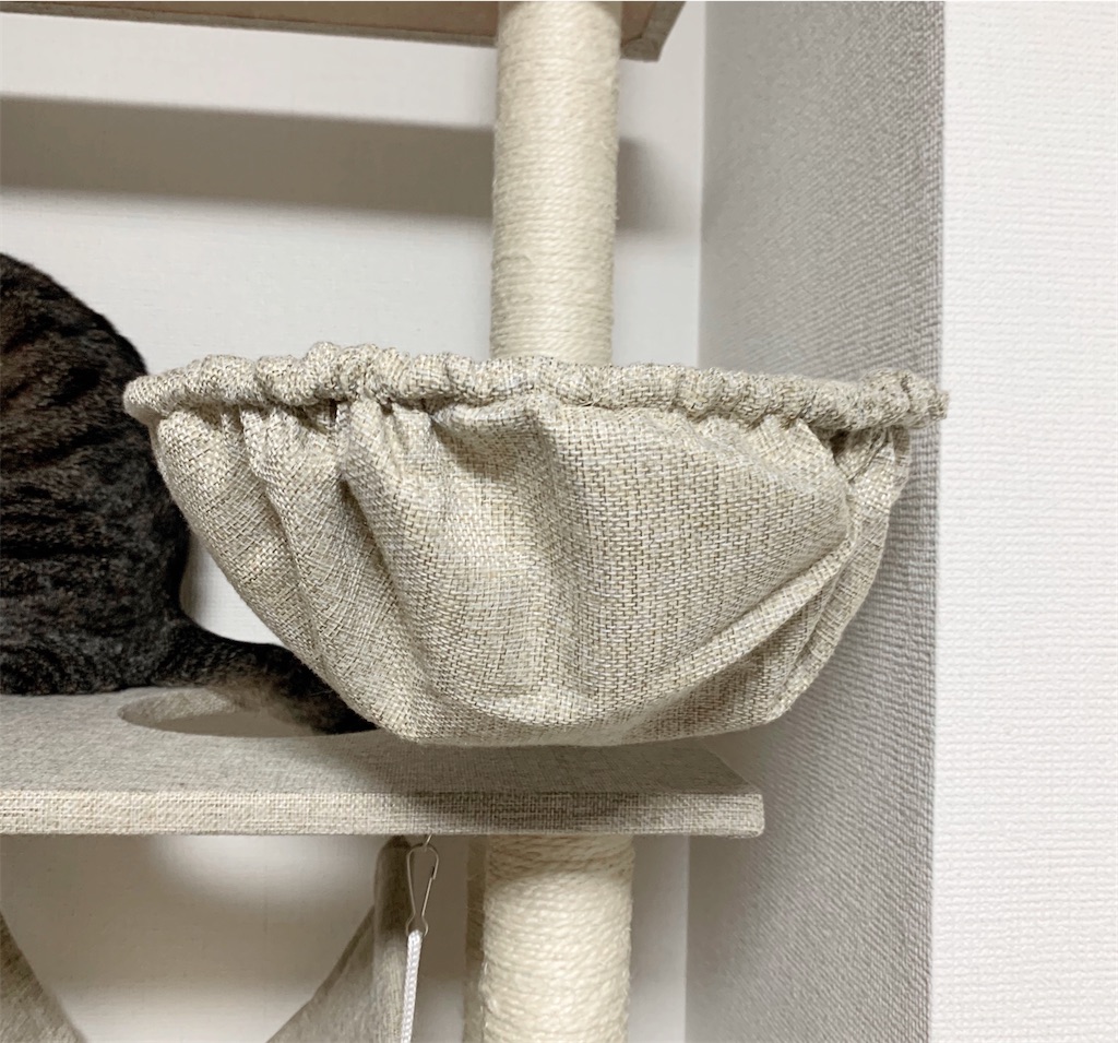 f:id:neko008:20200911220413j:image f:id:neko008:20200911220413j:image