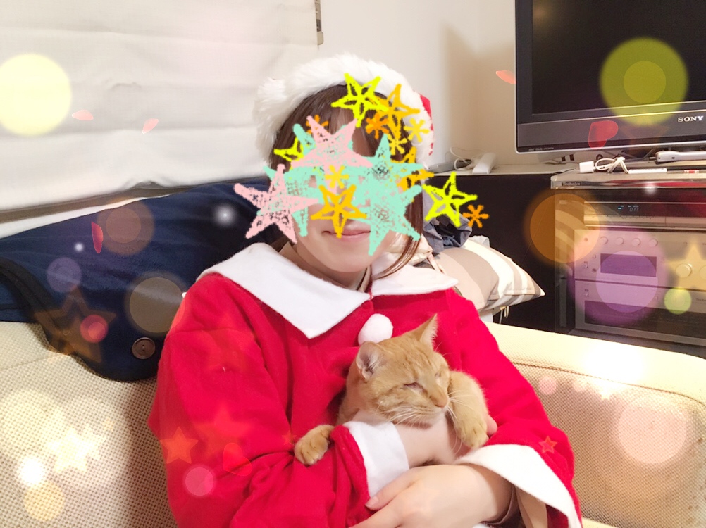 f:id:neko015:20181225222754j:plain