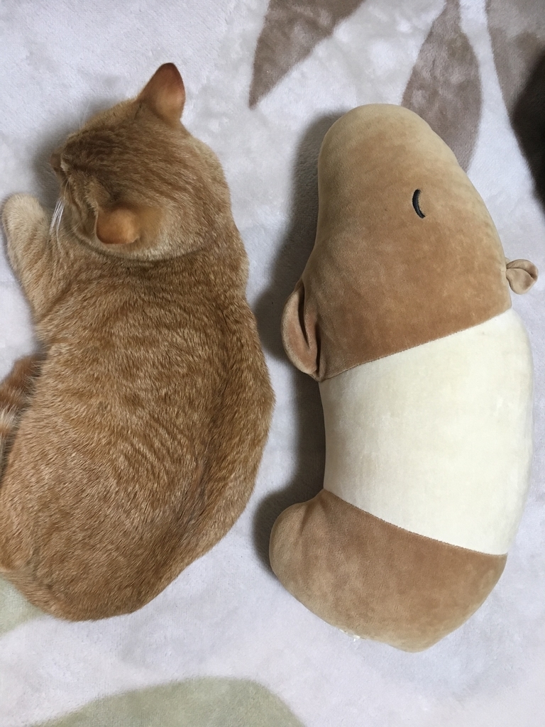 f:id:neko015:20181225225206j:plain