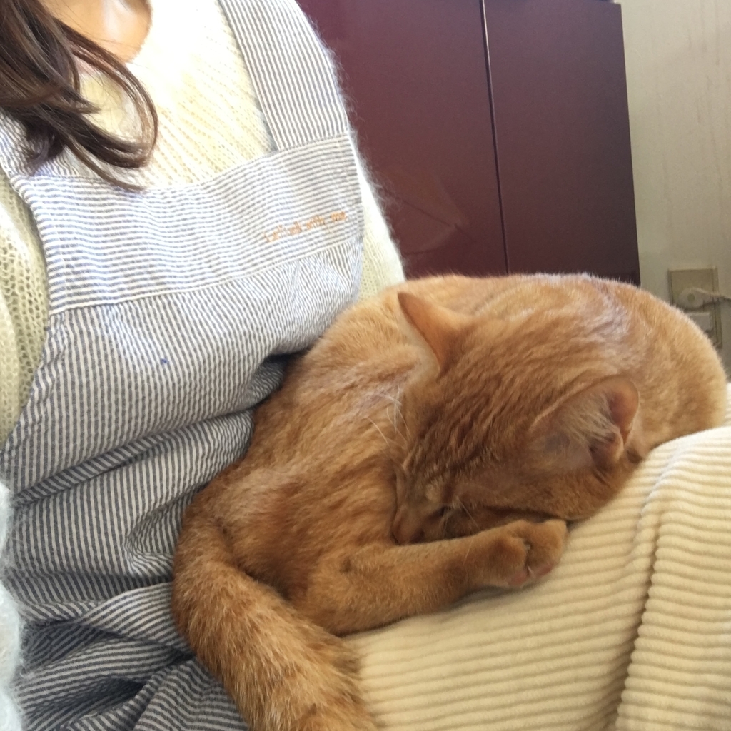 f:id:neko015:20190102144234j:plain