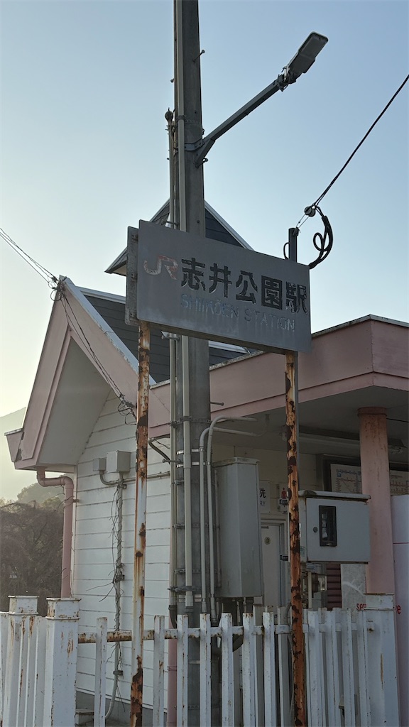 f:id:neko0619neko:20260307114429j:image
