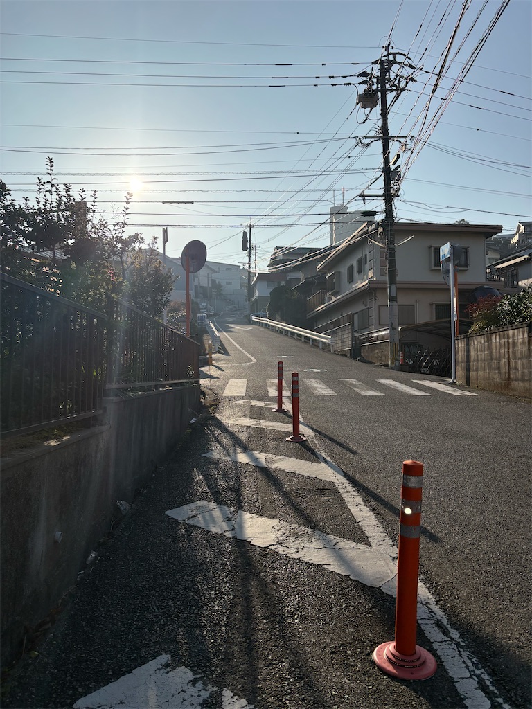 f:id:neko0619neko:20260307120431j:image