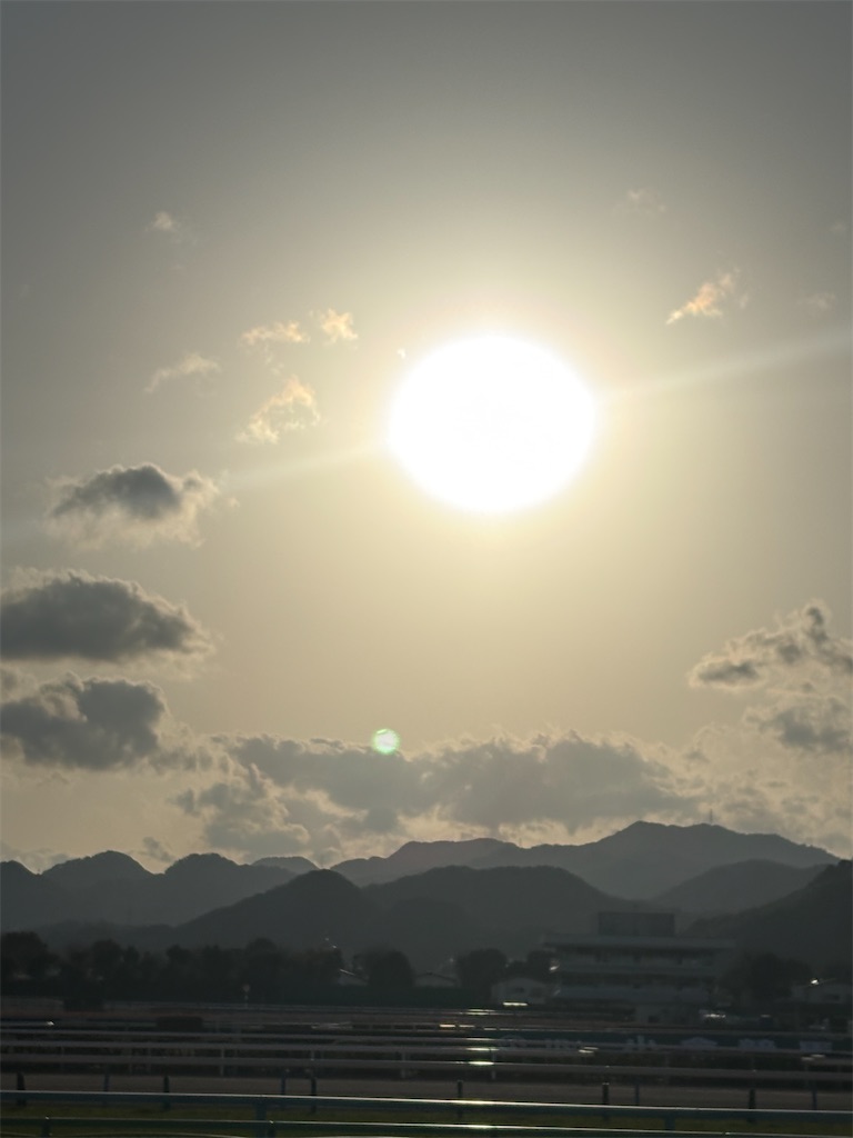 f:id:neko0619neko:20260308190652j:image