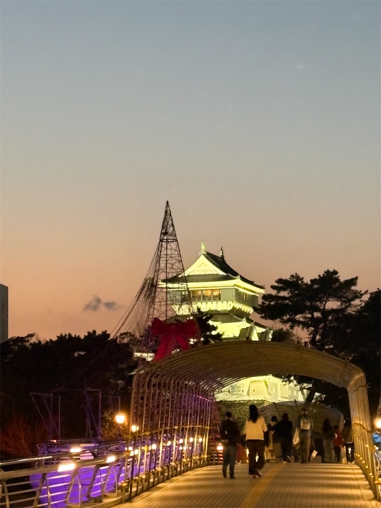 f:id:neko0619neko:20260308193111j:image