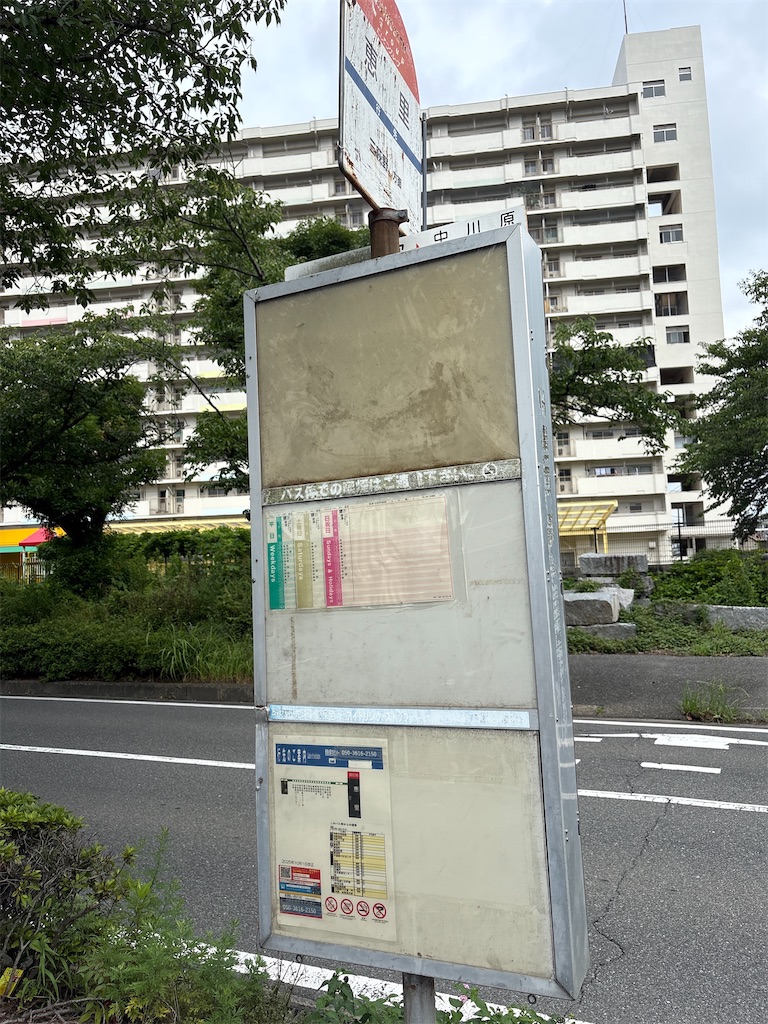 f:id:neko0619neko:20260710125540j:image
