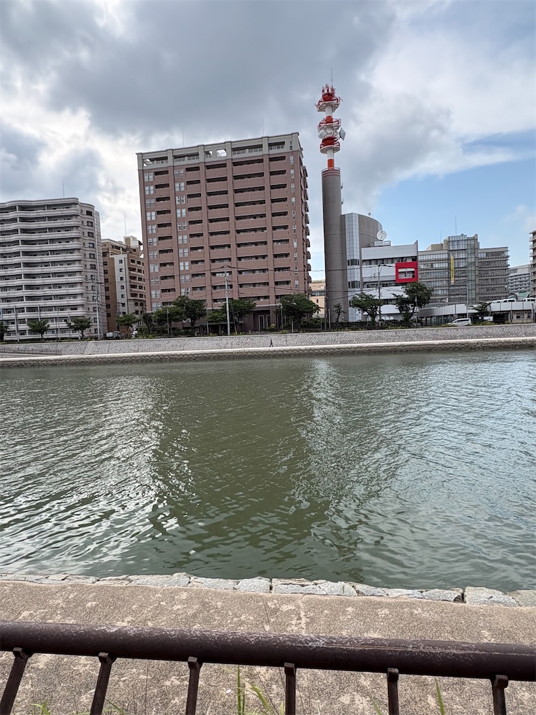 f:id:neko0619neko:20260711134501j:image