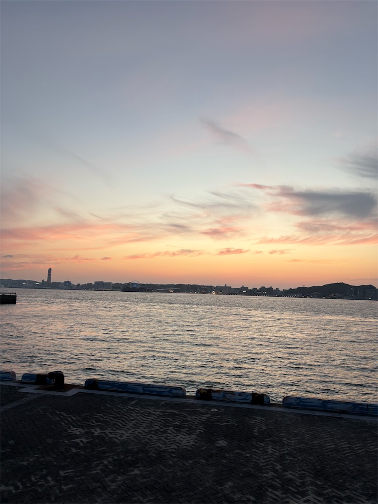 f:id:neko0619neko:20260711230543j:image