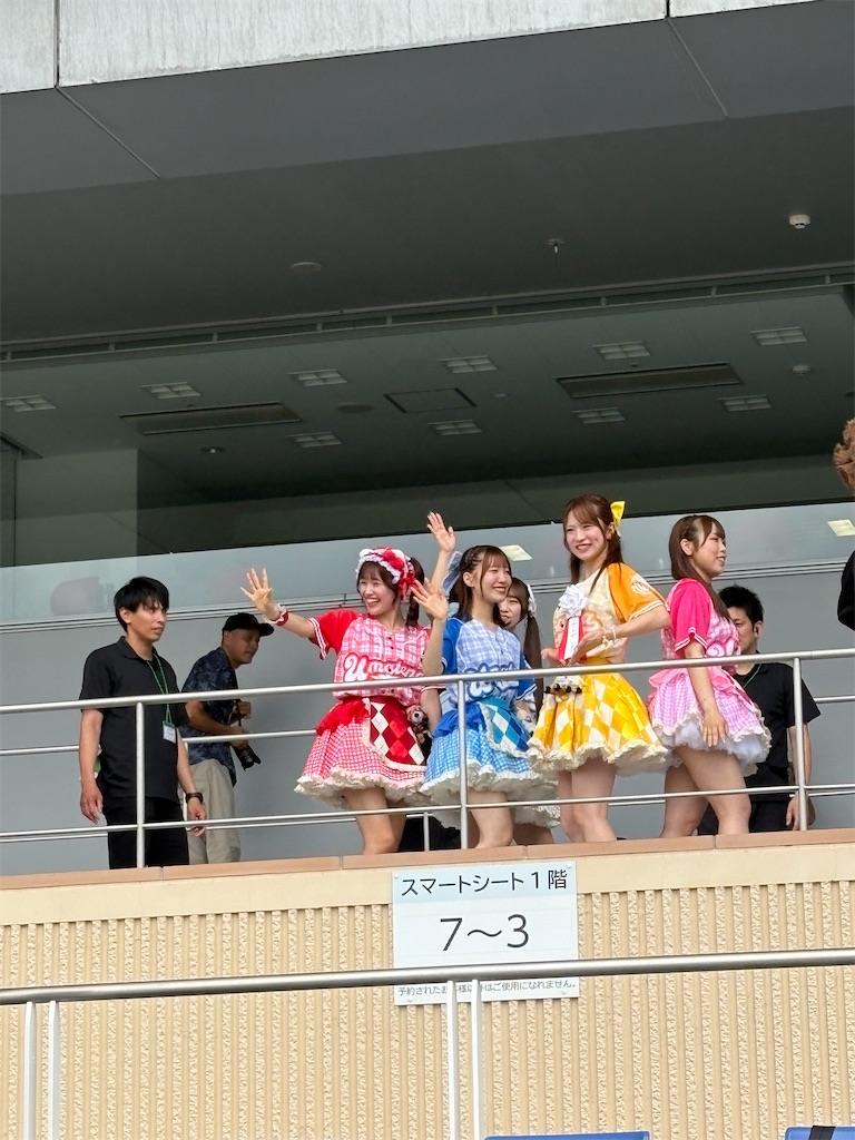 f:id:neko0619neko:20260824045821j:image f:id:neko0619neko:20260824045821j:image