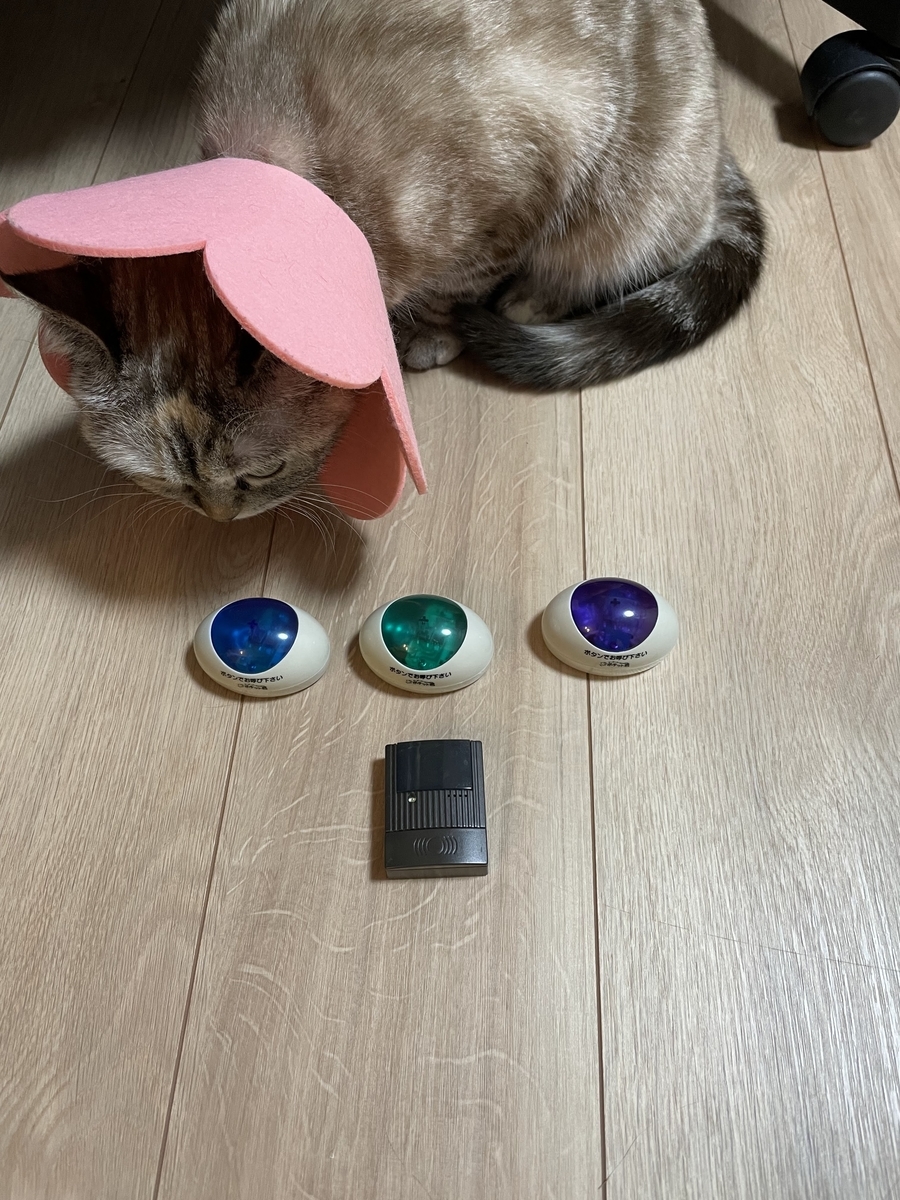 f:id:neko1229oichi:20220323210836j:plain