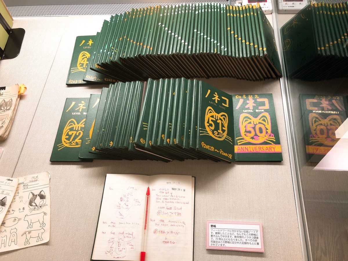 西南学院大学博物館