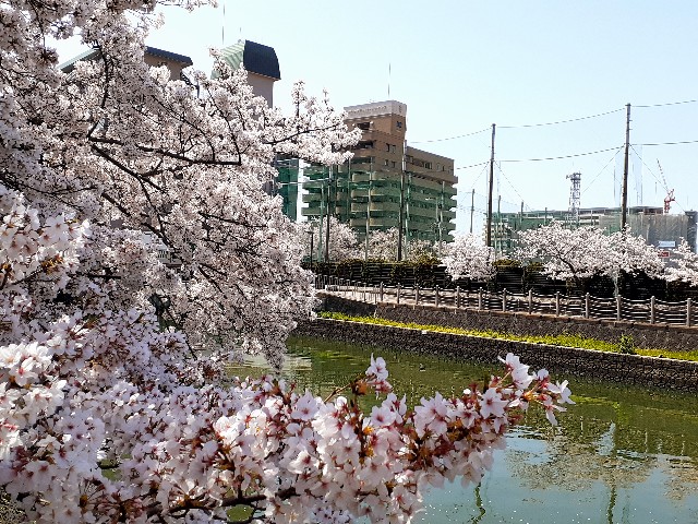 f:id:neko222mike333:20210331173925j:image f:id:neko222mike333:20210331173925j:image