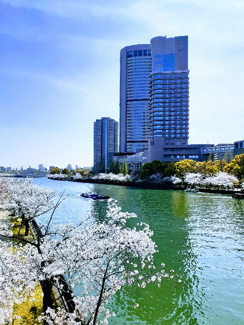 f:id:neko222mike333:20210401195708j:image f:id:neko222mike333:20210401195708j:image