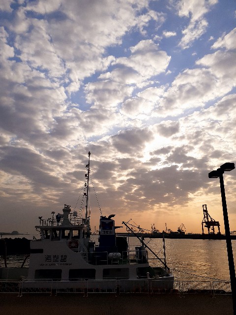 f:id:neko222mike333:20210402210621j:image f:id:neko222mike333:20210402210621j:image