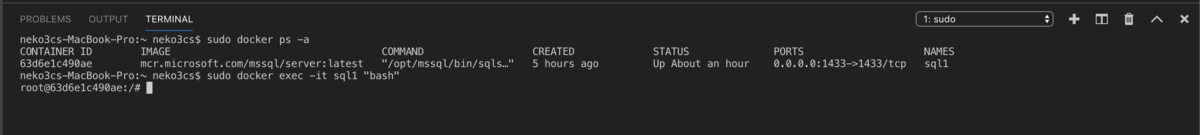 f:id:neko3cs:20190414005328p:plain f:id:neko3cs:20190414005328p:plain