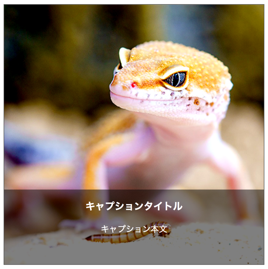 f:id:neko_kick_panch:20170531235507p:plain f:id:neko_kick_panch:20170531235507p:plain