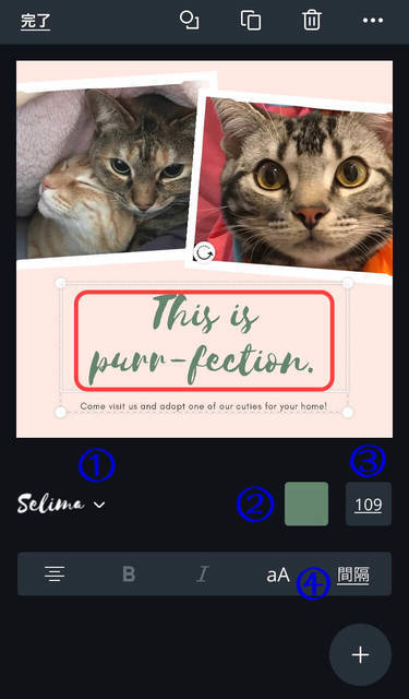 f:id:neko_mama_neko:20190430194926j:plain f:id:neko_mama_neko:20190430194926j:plain