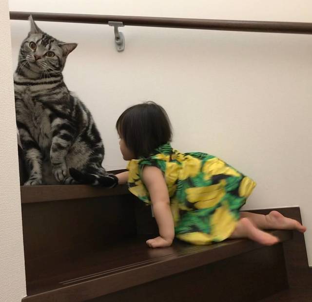 f:id:neko_mama_neko:20190817183010j:plain