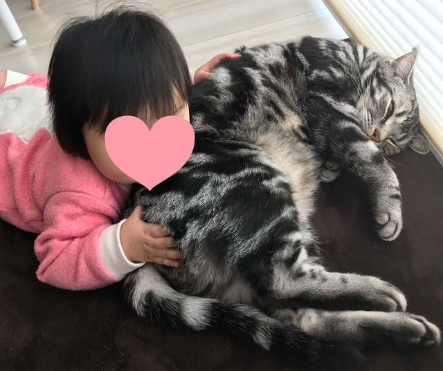 f:id:neko_mama_neko:20190817183121j:plain