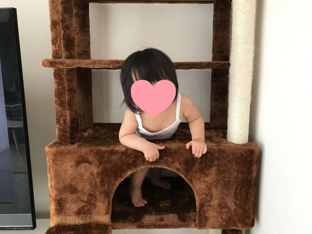f:id:neko_mama_neko:20190817183150j:plain