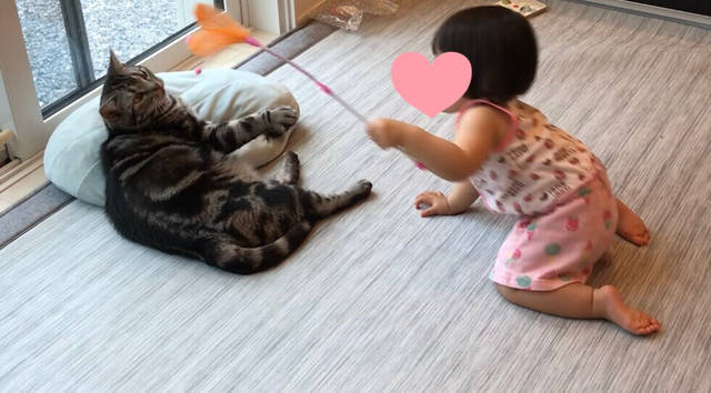 f:id:neko_mama_neko:20190817185211j:plain