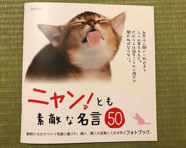 f:id:neko_mama_neko:20190826211529j:plain
