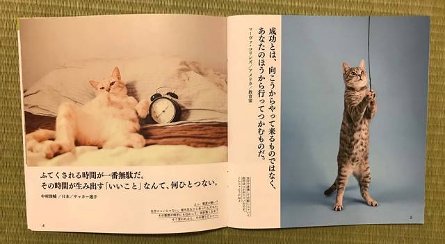 f:id:neko_mama_neko:20190826211539j:plain