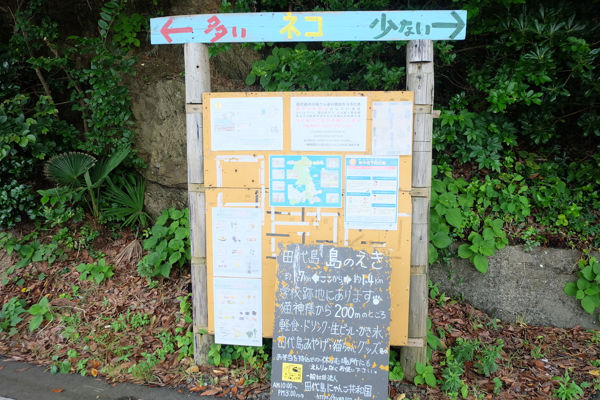 f:id:neko_no_marushima:20220205150239j:plain