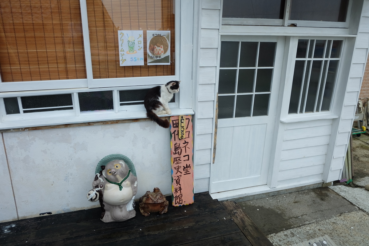 f:id:neko_no_marushima:20220214104802j:plain