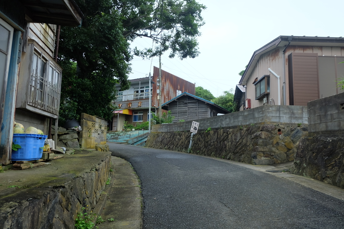 f:id:neko_no_marushima:20220214105158j:plain