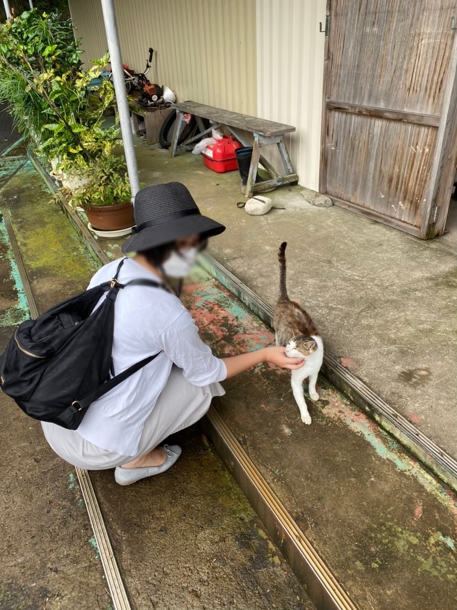 f:id:neko_no_marushima:20220214110414j:plain