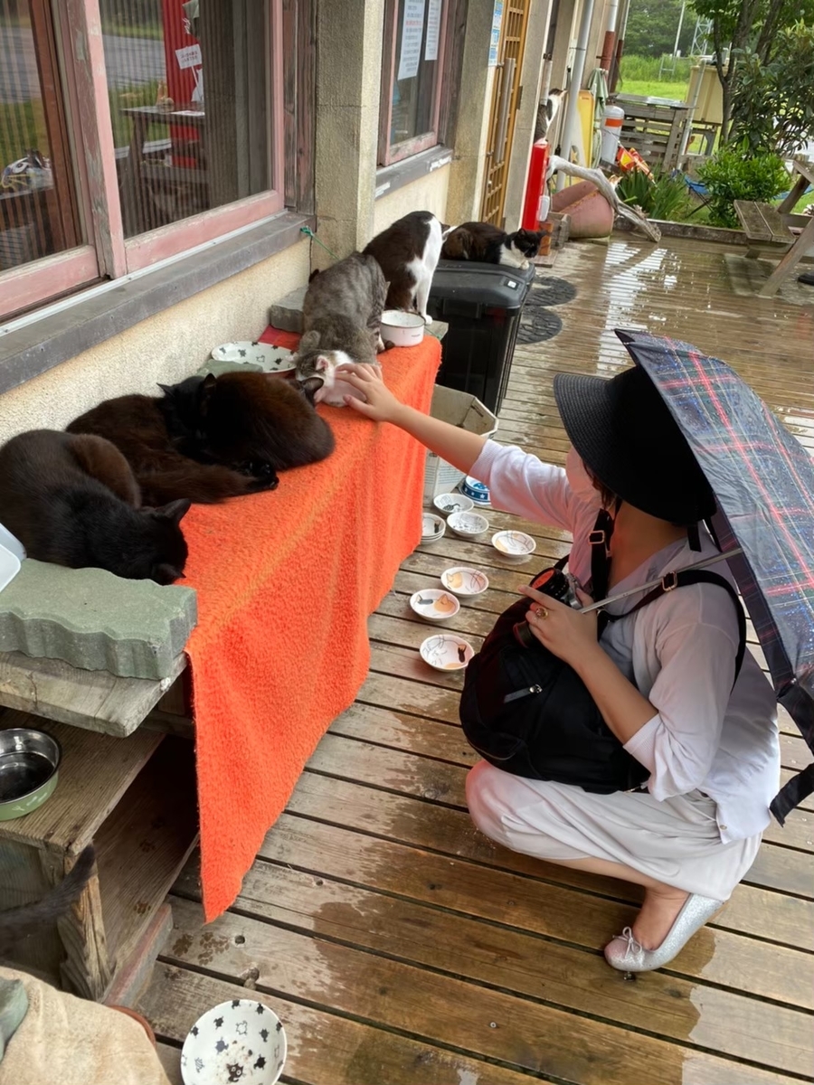 f:id:neko_no_marushima:20220227163304j:plain