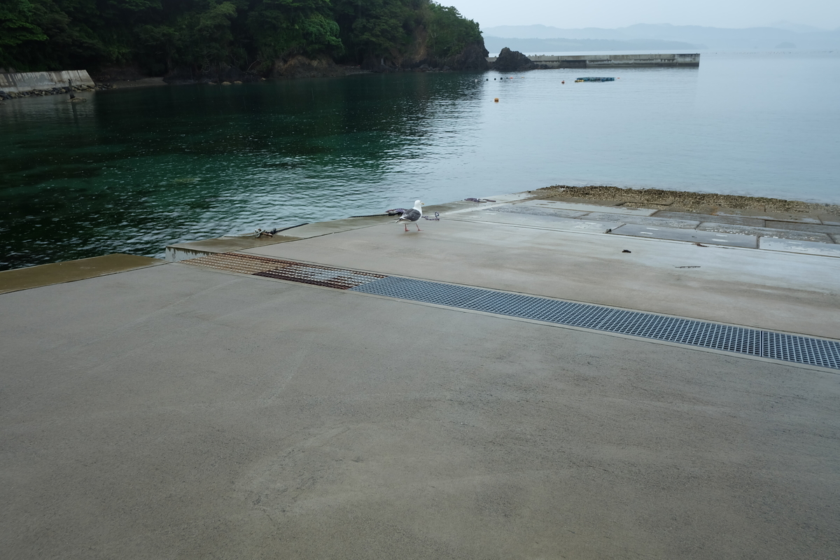 f:id:neko_no_marushima:20220227174248j:plain