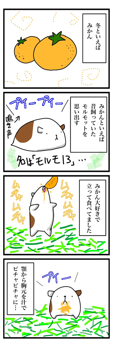 モルモ13