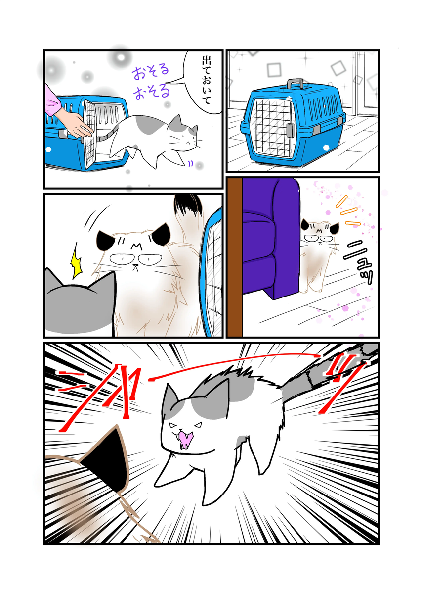 後の兄弟猫ゆきちと魁くんの初遭遇漫画2P目