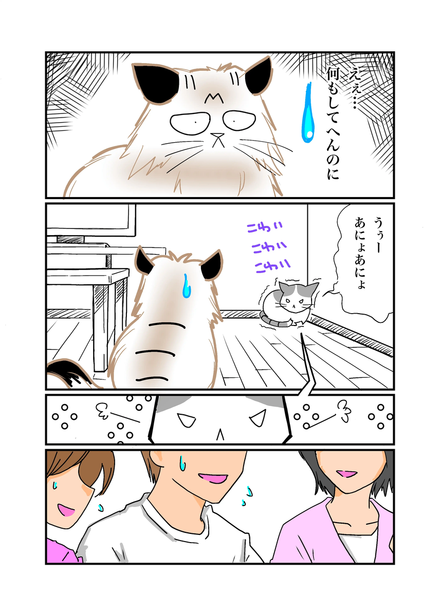 後の兄弟猫ゆきちと魁くんの初遭遇漫画3P目