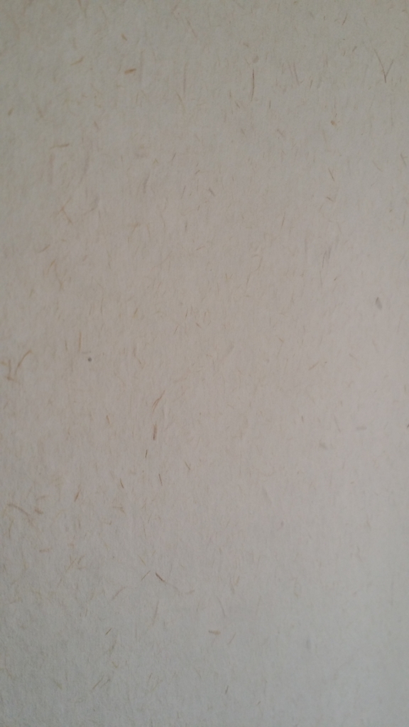 f:id:neko_tamaran:20170424005633j:plain f:id:neko_tamaran:20170424005633j:plain