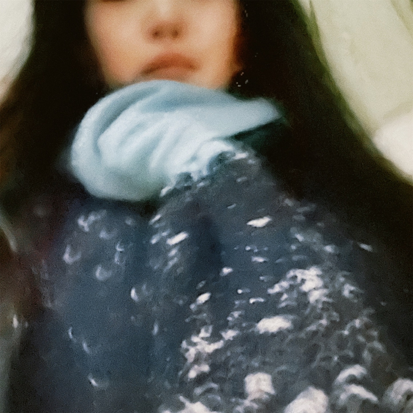 f:id:neko_to_sengyo:20250310235626j:image