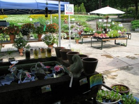 f:id:nekoatama:20090823231641j:image