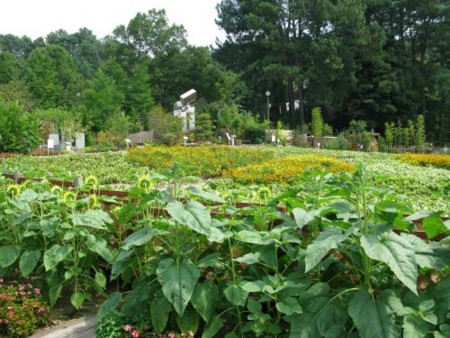 f:id:nekoatama:20090823231642j:image