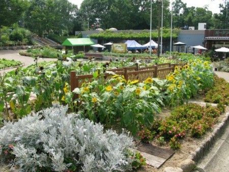 f:id:nekoatama:20090823231646j:image