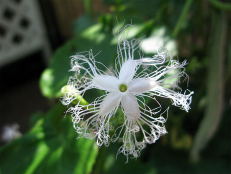 f:id:nekoatama:20100816220517j:image f:id:nekoatama:20100816220517j:image